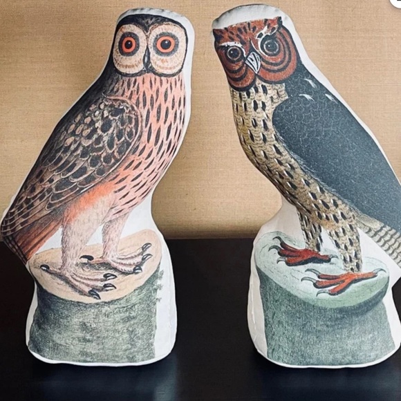 John Derian X Target Hocus Pocus Owl Pillow Set - Picture 1 of 13